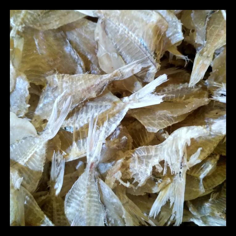 

STOK BARU! IKAN ASIN KAPASAN TAWAR 1/2 KG PALING MURAH