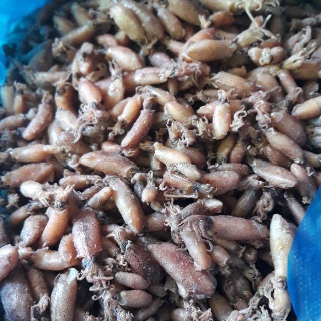 

Baby cumi. Tidak asin. Asli dari pesisir labura Rp 55 K 1/4 ( se perempat)