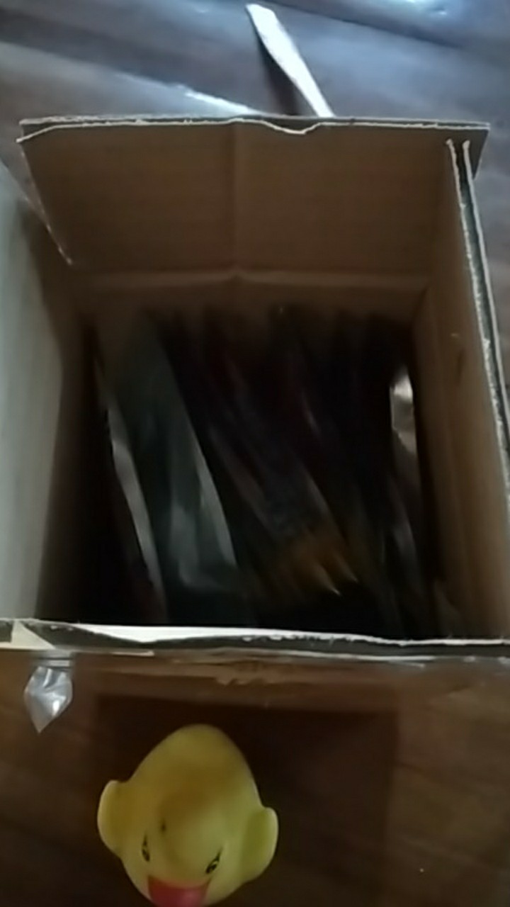 Tetelo Plus 10 Caps Obat Anti Tetelo Dan Ndv Ayam Syaraf Saraf Kepala Berputar Ngorok