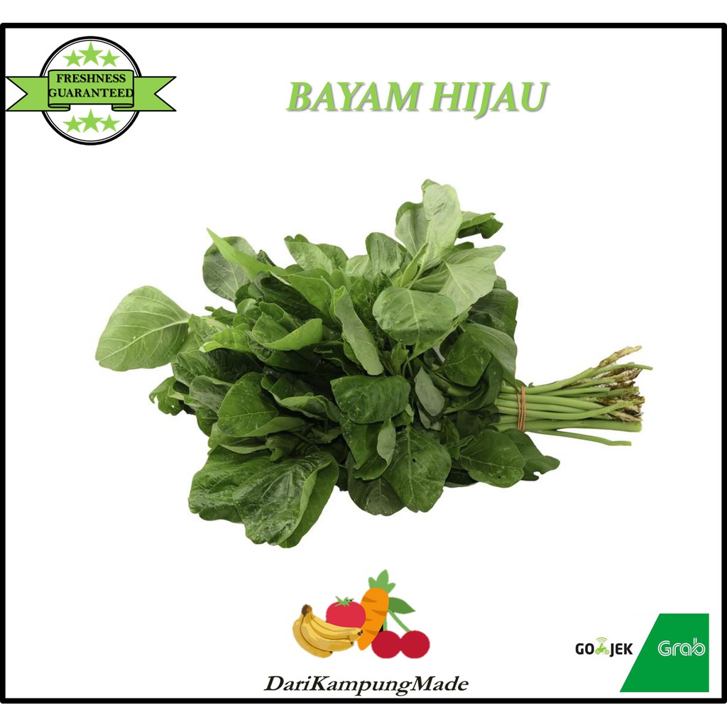 

GRAB / GOJEK ONLY / DAUN BAYAM HIJAU / SAYUR BAYAM / DIJUAL PER IKAT