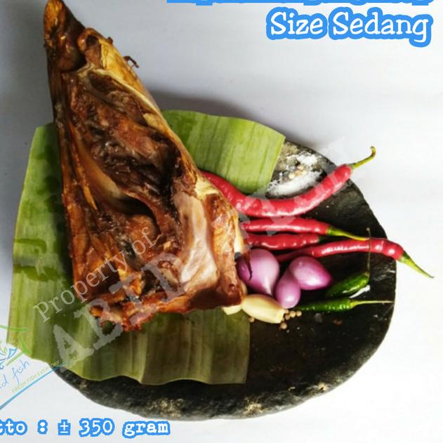 

☛ kepala manyung asap ukuran sedang | kepala manyung asap | kepala asap ♀