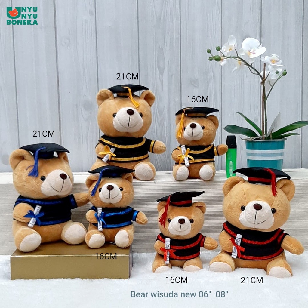 Boneka toga wisuda teddy bear beruang graduation souvenir Cute