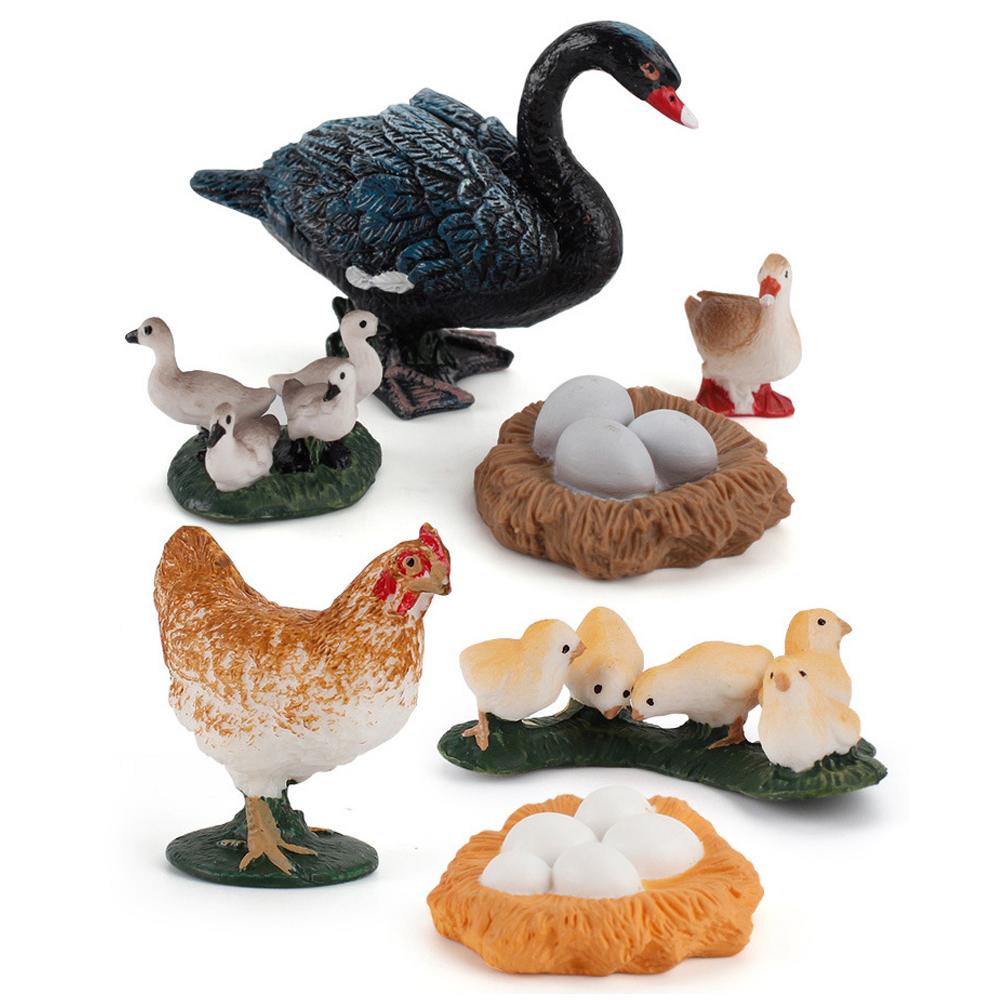 Quinton Life Cycle Figure Simulasi Ilmu Angsa Model Hen Cock Mainan Edukasi Cycle Bebek Figurine