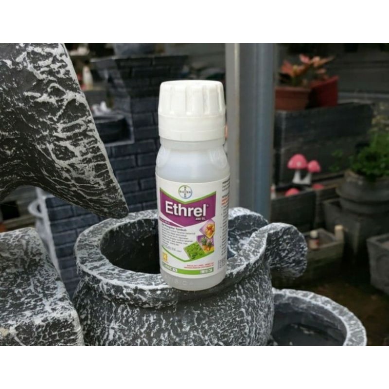ETHREL Pematang Buah dan Zpt 100ml
