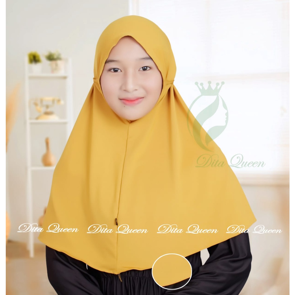 Aleia Bergo Hijab