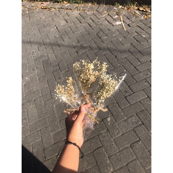 Bunga Baby Breath Kering murah