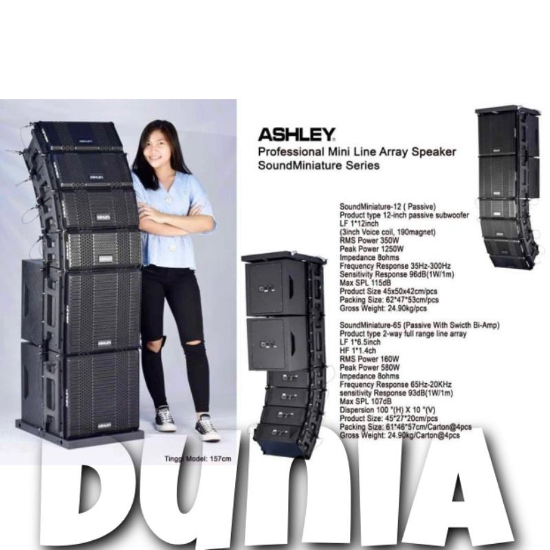 ds Speaker Line Array Ashley Mini Soundminiature Series array 6.5 inch Sub 12 inch Passive