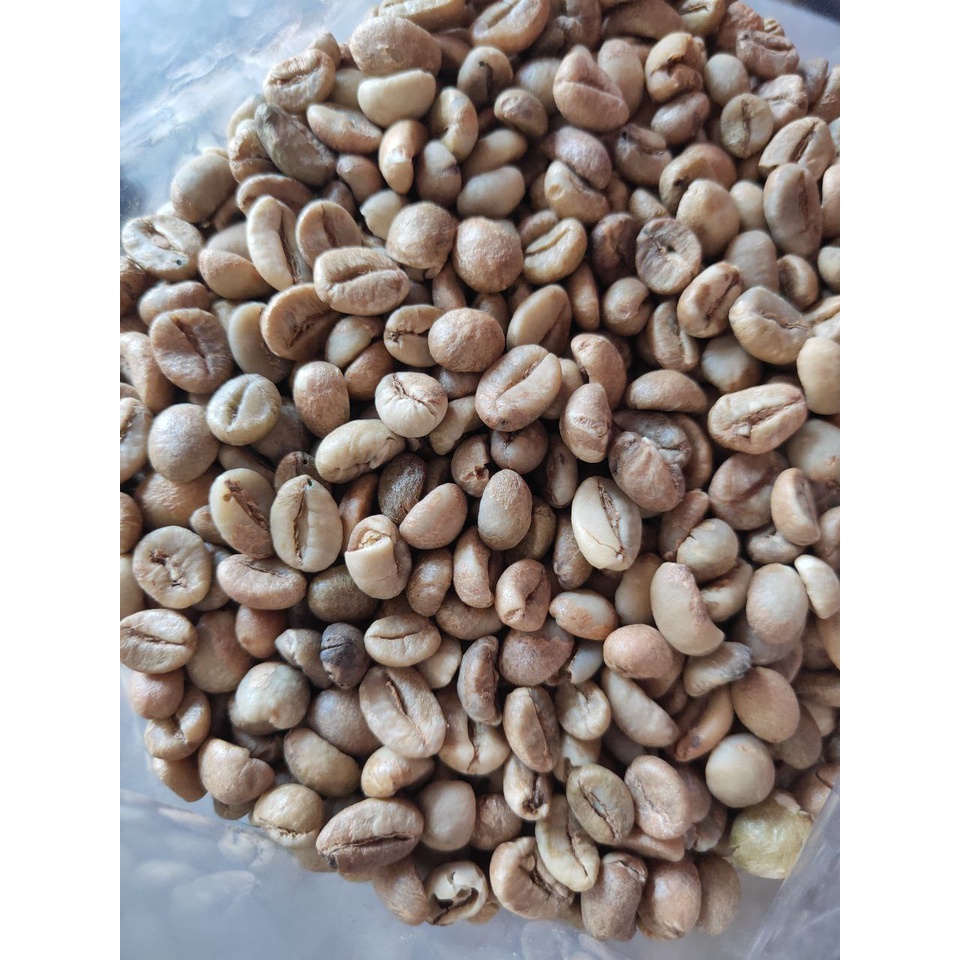 

Biji Kopi Robusta Mentah 1Kg | Robusta Green Bean