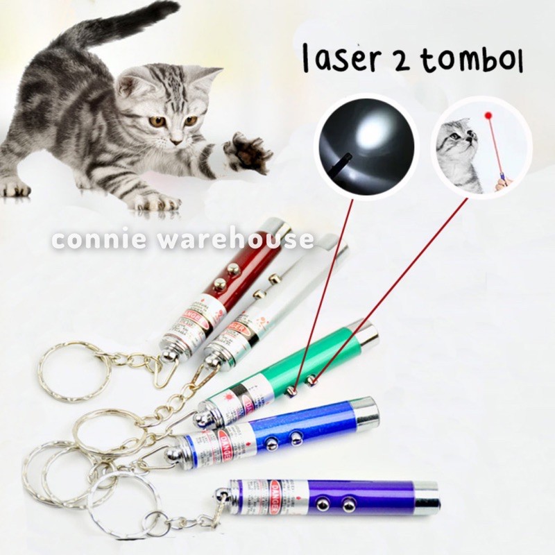 MAINAN 2 in 1 LASER LAMPU SENTER POINTER KUCING CAT TOYS