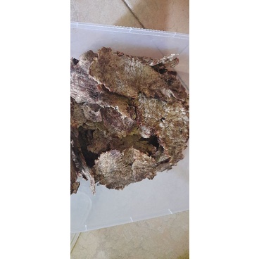 

dendeng daging khas madura
