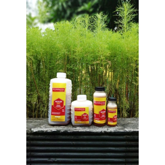 

MADU MULTIFLORA RUMMAN 500gr