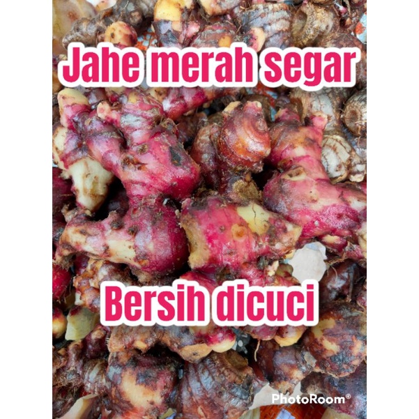 

Jahe merah Medan super segar sudah di cuci bersih 1kg