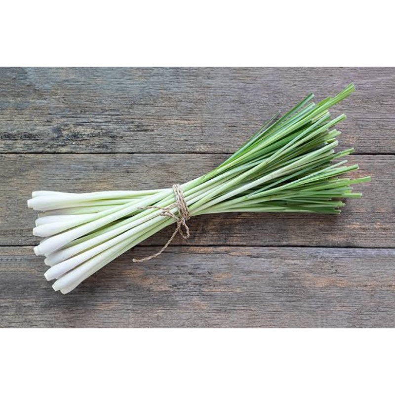 

DAUN SEREH [100gr]