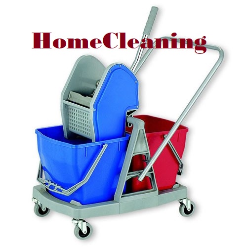 Double Bucket PL 2X17 L with Blue Plastic Wringer CN