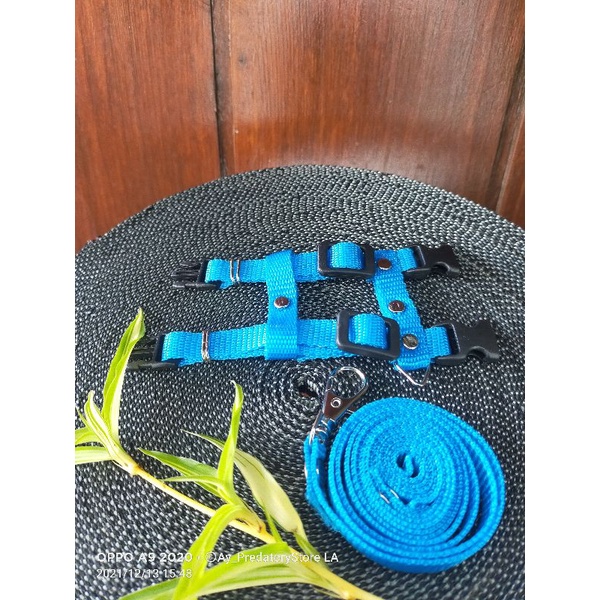 Harnes H musang/kucing polos