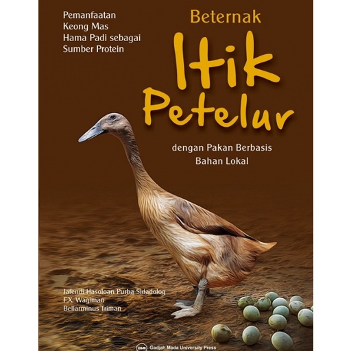 Beternak Itik Petelur