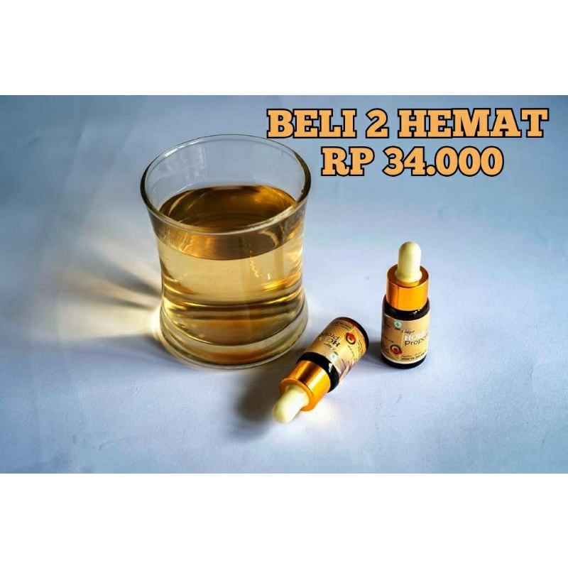 HOLANDA PROPOLIS ORIGINAL 10ML