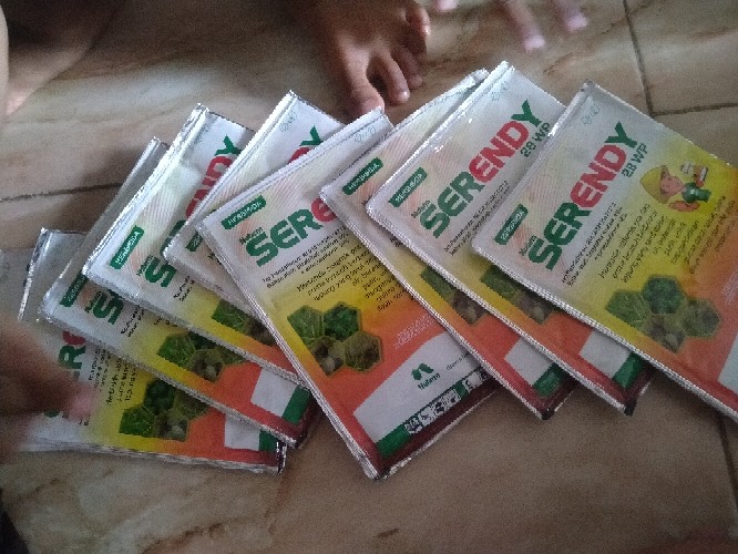 Herbisida Serendy 28wp - 25g