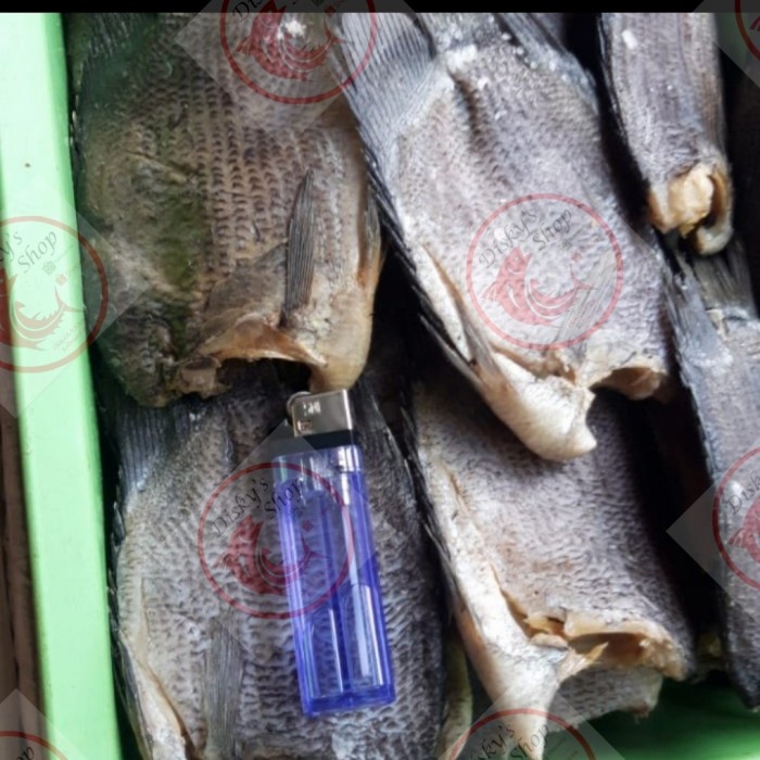 

Ikan Asin Biawan/ Sepat Jumbo Grade A 500 Gr