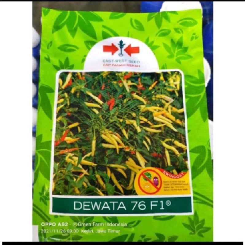 Cabe Hibrida Dewata 76 F1 Umur Genjah Kemasan 10gr Original Pabrik