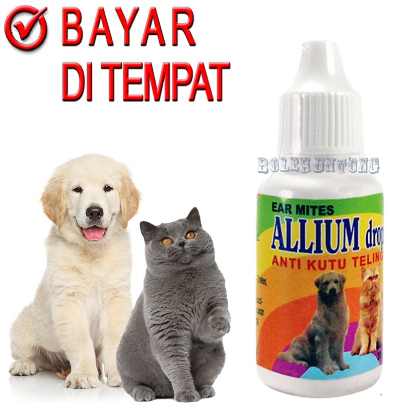 ALLIUM OBAT KUTU TELINGA KUCING ANJING TETES SAKIT KUPING