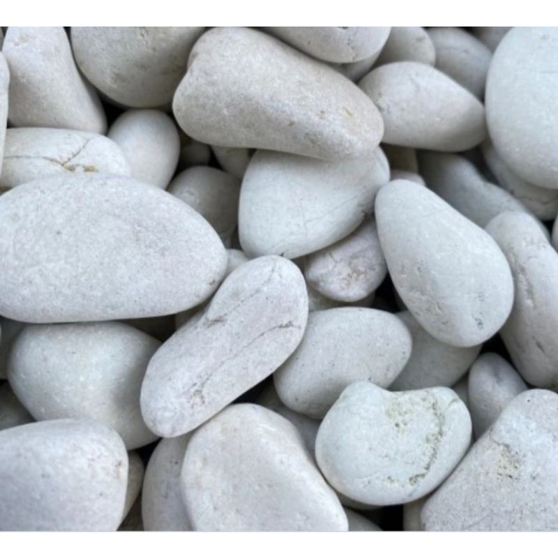 BATU KORAL KUPANG PUTIH SATU KARUNG 12KG