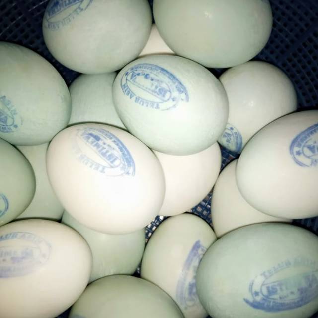 

Telur Asin