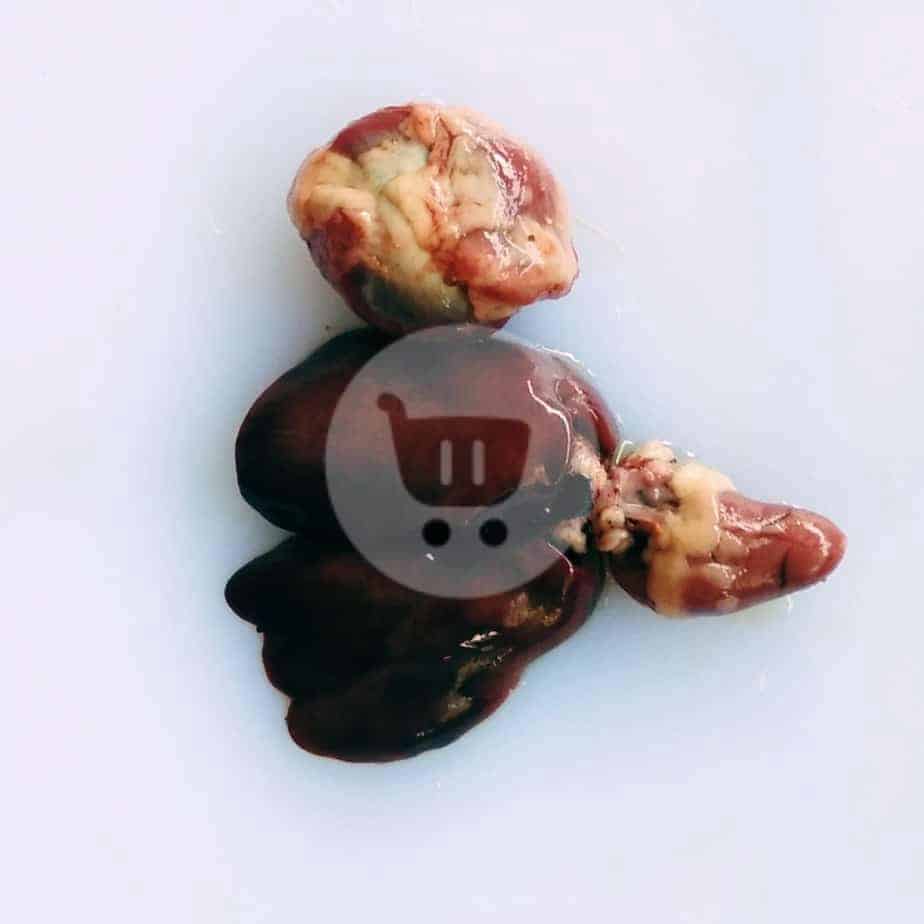 

Ati Dan Ampela Ayam / Pcs