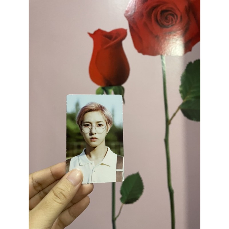 SHARING POSTER & PC PB DAD NCT DREAM (RENJUN, JISUNG & GROUP)