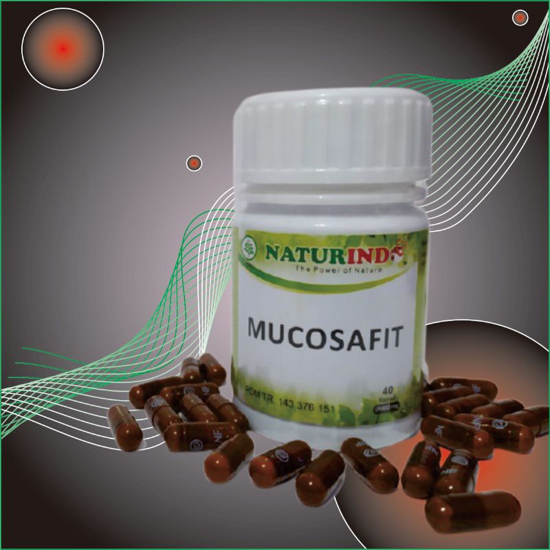 obat maag maah kronis ampuh asam lambung herbal maag kronis bau mulut akut asam lambung kronis asam lambung pusing bau mulut menahun tipes typus-5