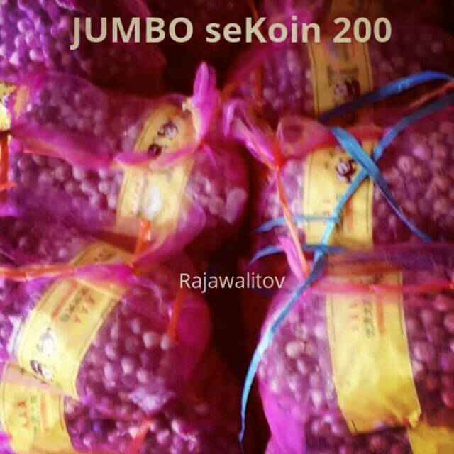 

250gram Jumbo Ukuran Koin200 Bawang Putih Tunggal Lanang