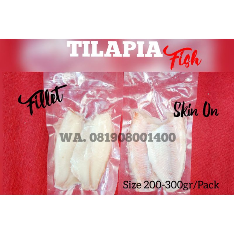 

TILAPIA / NILA MERAH FILLET 200-300gr