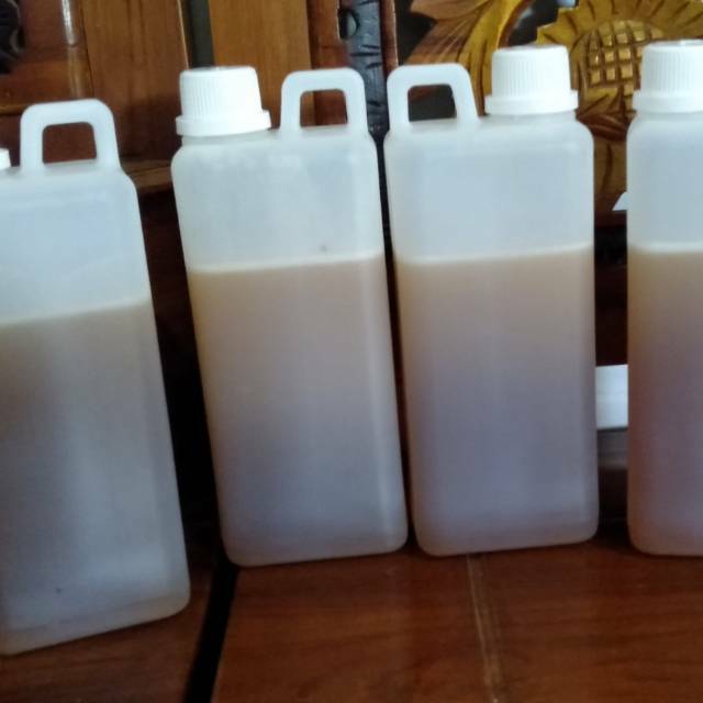 

Madu Asli madu multiflora