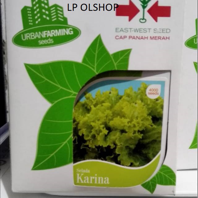 Benih Bibit Selada Hijau KARINA Cap Panah Merah