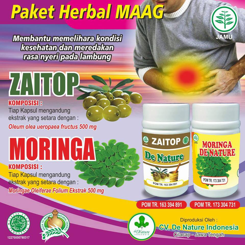 obat herbal asam lambung