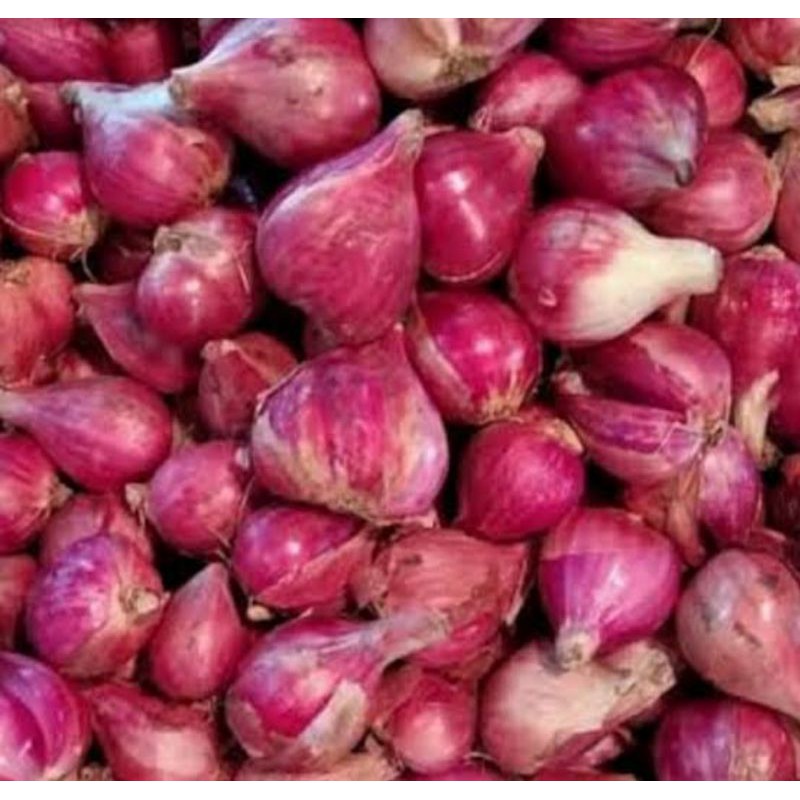 

Bawang Merah Salbe