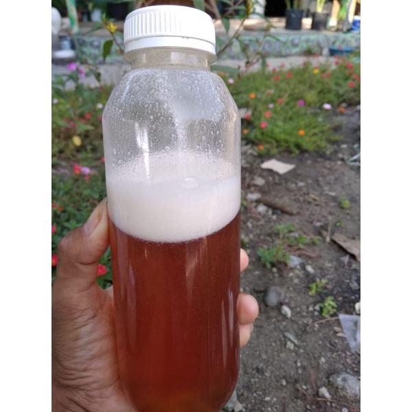 

Madu Asli kemasan ½kg
