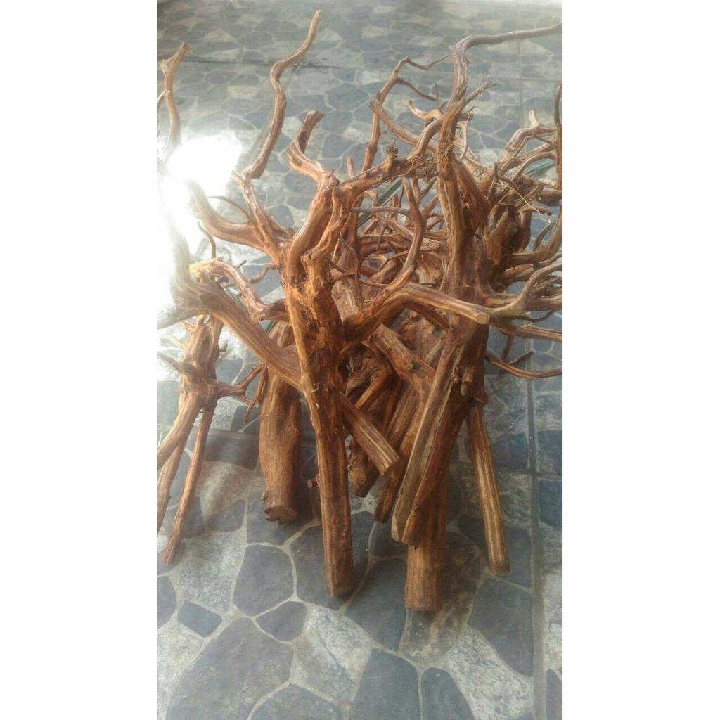 Kayu aquascape rasamala kupas size L