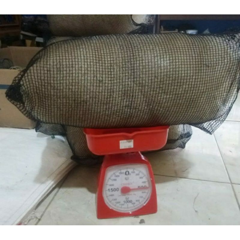 jaring bekas nelayan