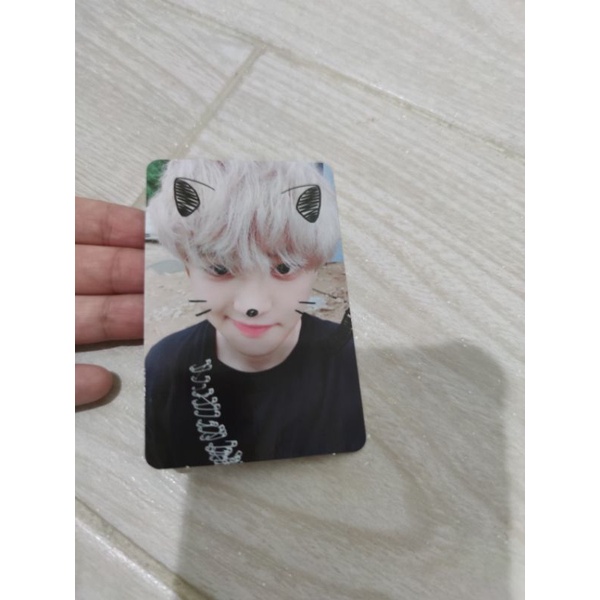 EXO Chanyeol Tempo DMUMT Moderato kucing photocard pc official