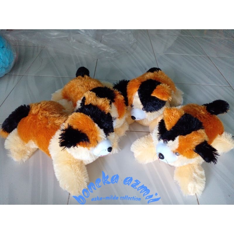 Boneka kucing lucu Persia size l