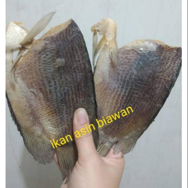 

Ikan Asin Sepat Tembakang (±500gr) Biawan / Ikan Asin Betok / Tok Theu Phu-Batok Phu / Ikan Asin Gurame