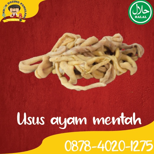 

Usus Ayam Bersih Mentah Frozen/Beku