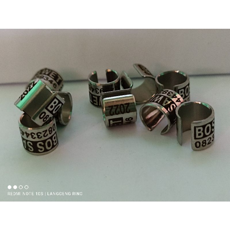 RING BURUNG BAJA BELAH MERPATI