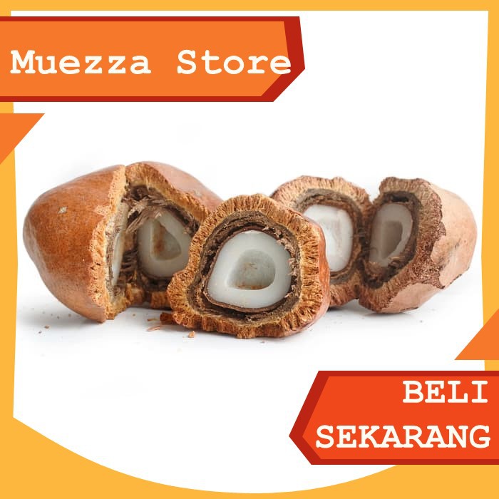 

Buah Zuriat Belah 500 gr / Buah Doum Sudah Dibelah Promil / Buah Zuriat Belah / Buah Doum