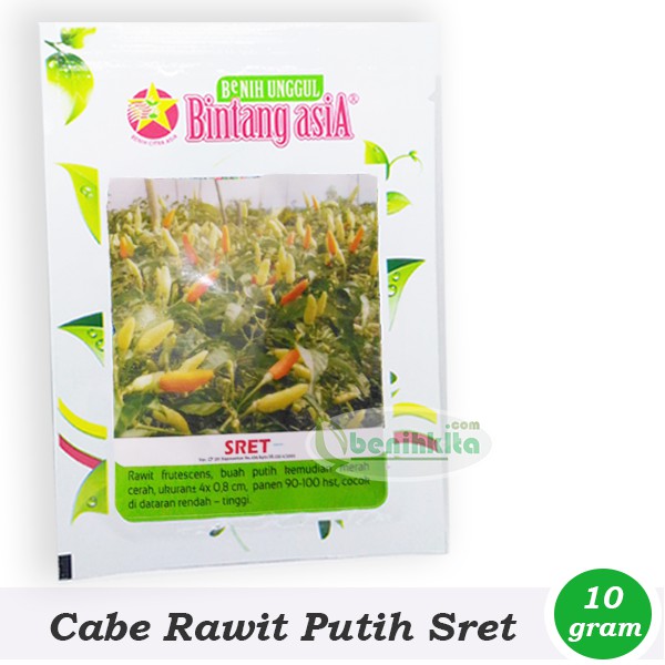 Benih-Bibit Cabe Rawit Putih Sret (Bintang Asia)