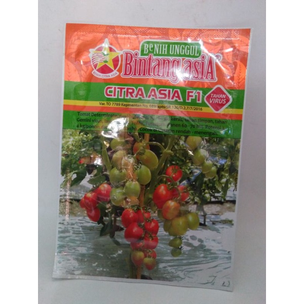 BENIH TOMAT CITRA ASIA 5GR