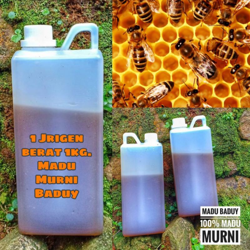 

Madu Hutan Baduy 1.kg. 100% Madu murni Baduy