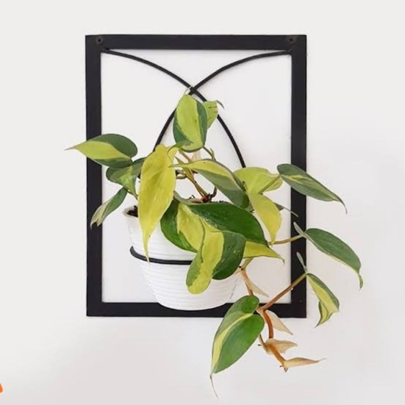 Rak pot bunga hias tempel dinding vertikal garden - rak pot besi hiasan dinding