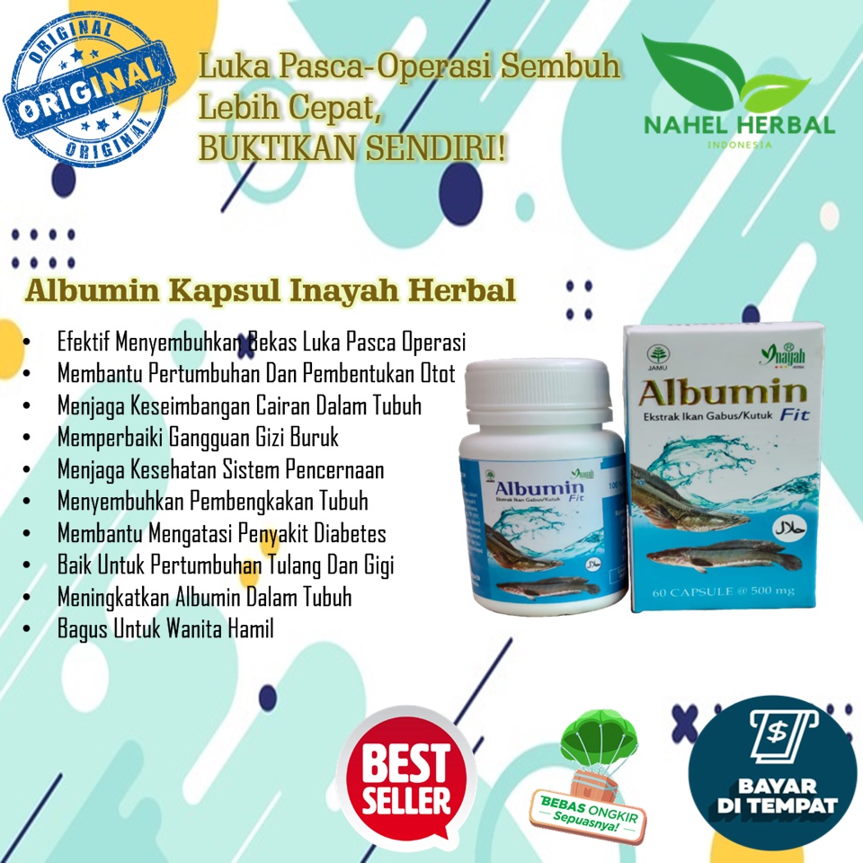 Cod Asli Kapsul Kutuk Albumin Minyak Ikan Gabus Original - Suplemen Keseimbangan Cairan Dalam Tubuh 